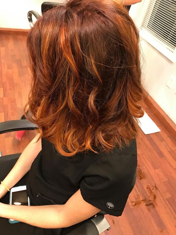 Copper highlights and lowlights